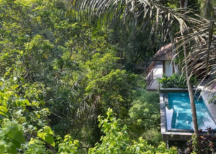 リゾート Ayung Ubud パヤンガン