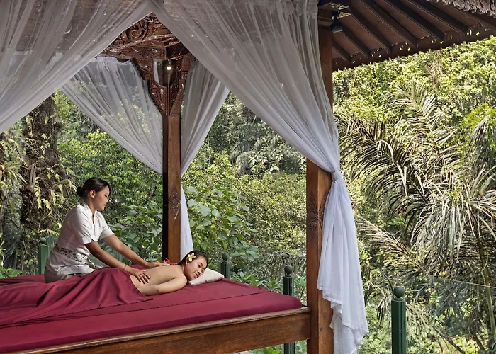Ayung Ubud 5* パヤンガン