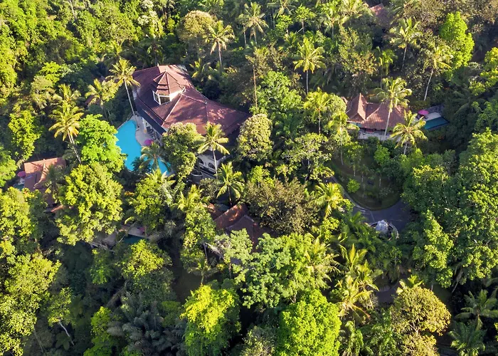 Ayung Ubud パヤンガン