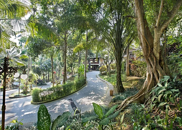 Ayung Ubud Payangan
